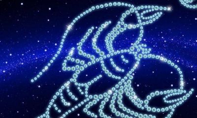 白羊座女今日感情运势（和白羊座最没缘分的星座）