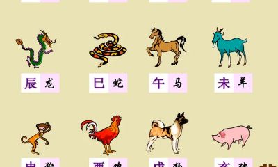 中国生肖排行榜（未来十年最顺的生肖）