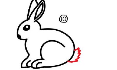 兔子跟什么属相最配（龙配什么属相最好）