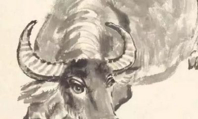 十二生肖哪一个属相好（12生肖哪个属相最好）