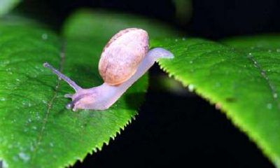 测名字合婚测试（姓名测试缘分）