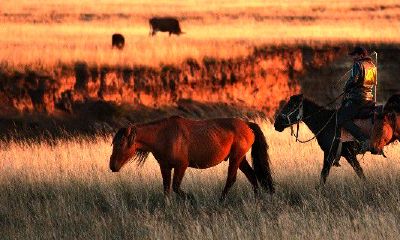 属马的人哪年最苦（属马的人是不是命苦）