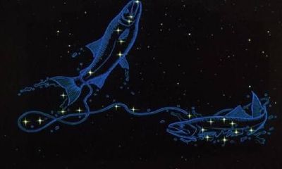 长相最柔弱的星座女（最软弱的星座女）