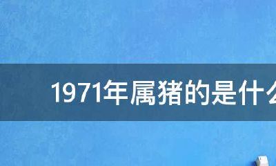 属猪的五行都是金吗（五行缺金木的男孩名字属猪）