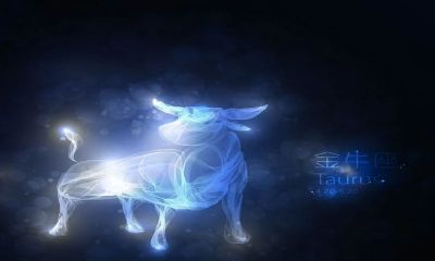 怎样让金牛座男生喜欢上你（金牛座男生最吃哪一套）