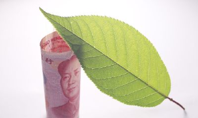 属狗2023年幸运色是什么颜色属木的（属猪终身幸运色）