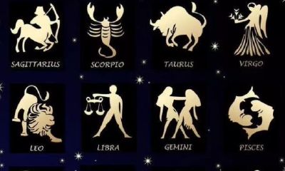 狮子座是风象星座么（天秤座不像风象星座）