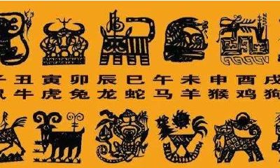 十二生肖排名依据（十二生肖按什么划分）