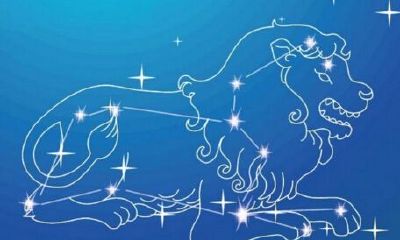 黑化的处女座是什么样子的（12星座黑化前和黑化后的样子）