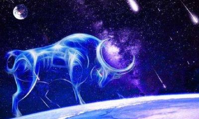 金牛座爱情配对星座（十二星座恋爱配对）