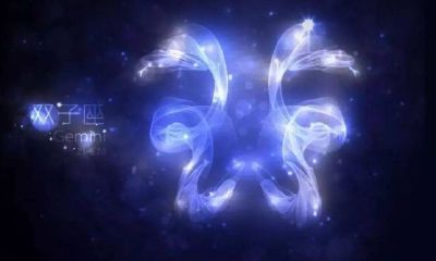 双子座和金牛座在一起会怎么样（双子座能和金牛座在一起吗）