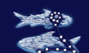 水瓶座和双鱼座注定纠缠（双鱼座与水瓶座的爱情）