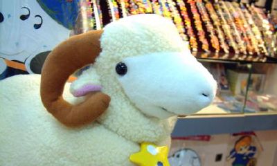 2003年婚配什么生肖（2003年属羊的和什么属相最配）