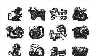 属羊适合养鱼么（属羊的养什么鱼比较好）