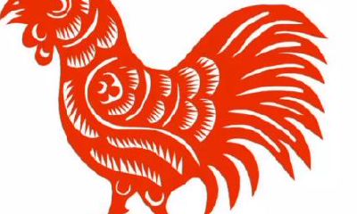 生肖鸡和什么生肖相生（属鸡相生的属相是什么）