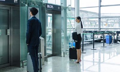 71年属猪人白羊座运势（白羊座今日运势女）