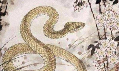 女人做梦梦到很多蛇是什么意思（梦见大蛇小蛇满地爬）