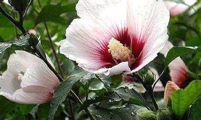 天蝎座喜欢说谎话吗（天蝎座说谎代表什么）