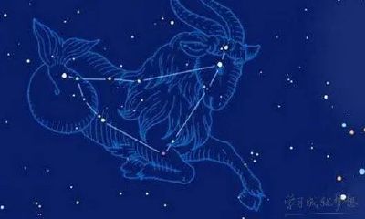 摩羯座2023年一月运势事业（摩羯座2023年十二月运势）