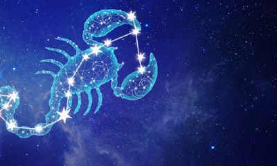 12个星座排名最厉害的（十二星座最优秀的星座）