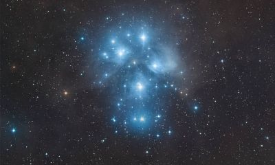 金牛座完全认定你的表现（金牛座删了你意味着什么）