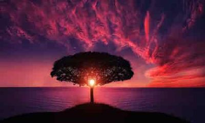 十二星座是什么命最好（十二星座哪个星座的命最好）