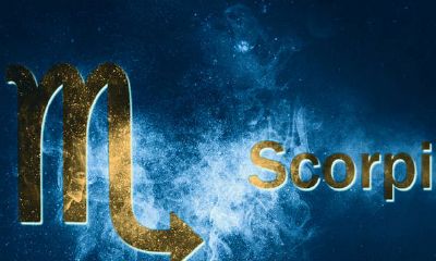 怎么和天蝎座女孩子聊天拉感情（和天蝎女聊天聊什么好）