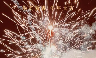 黄发晶招财效果好不（招财买黄水晶还是黄发晶好）