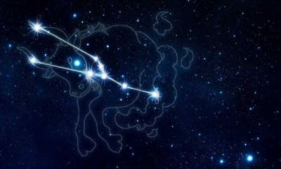 金牛男主动牵你手（金牛男不主动联系却秒回）