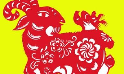 93年属鸡最佳婚配表94年的狗（1994年属狗的姻缘）