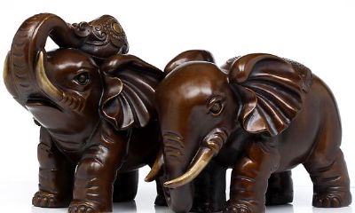 家里放什么东西风水好（想要财运好家里放什么好）