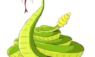 属蛇的哪年运势好（属蛇今日运势）