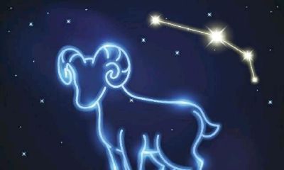 白羊座的最佳拍档（白羊座漂亮排第几名）