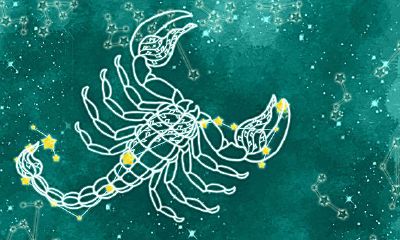 跟天蝎座的人一起工作会怎么样（天蝎男最不放心的星座女）