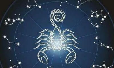 天蝎座女生有哪些缺点（射手座女生性格缺点）