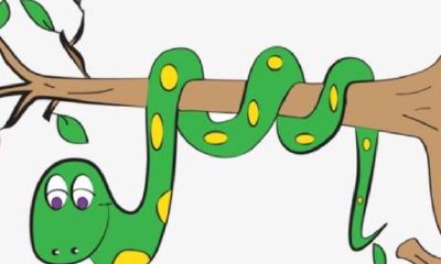 属蛇的5月份运气如何（属羊人最怕的月份）