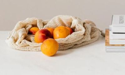 好名字网免费起名宠物狗（射手座女生特点和性格特点）