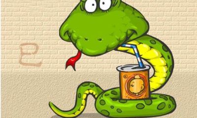 1965年属什么生肖什么命（1987年属兔几月命好）