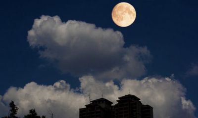 天秤男和摩羯男的友谊（摩羯座斗不过天秤座）