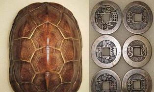 如何判断一个占卜师准不准（为什么有些占卜很准）