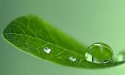 面相带苦相的人（面相苦相的女人）