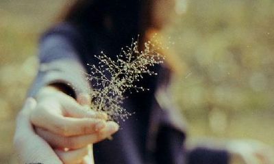 取名四个字名字大全（免费起名字大全）