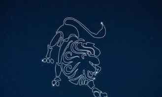 狮子座颜值高不高（狮子座颜值高吗）
