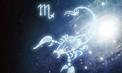 10月29日是什么星座日（9月25日是什么星座）