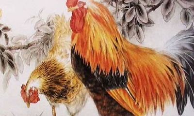 28岁属鸡的是哪年生（93年属鸡婚姻不顺）