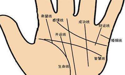 手相三大主线全部都是链纹（锁链纹手相的人最后怎样了）