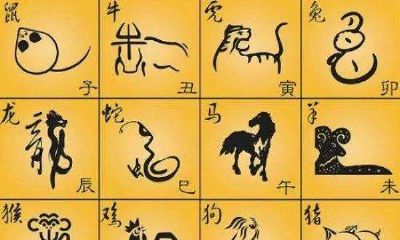 1995年属猪男住几楼好（83年属猪买几楼最旺）