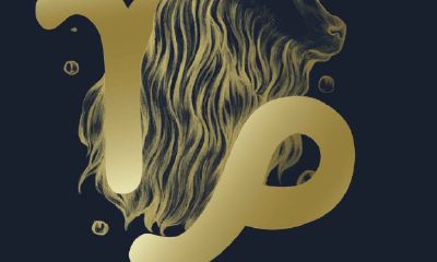 射手座是老实人吗（射手座老男人太难懂）