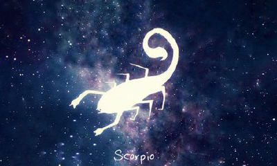 狮子座女8月17日运势（8月17日出生的狮子座女生）