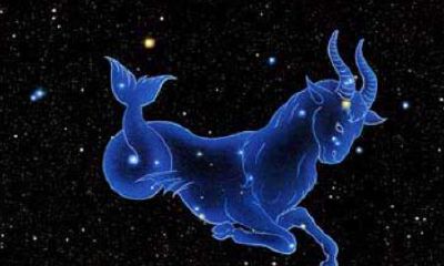 摩羯座折磨人的特征（摩羯女的报复心太可怕）